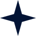 star-icon