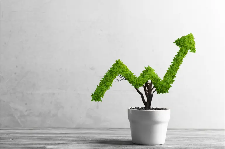 FD Rate Table Equitas 