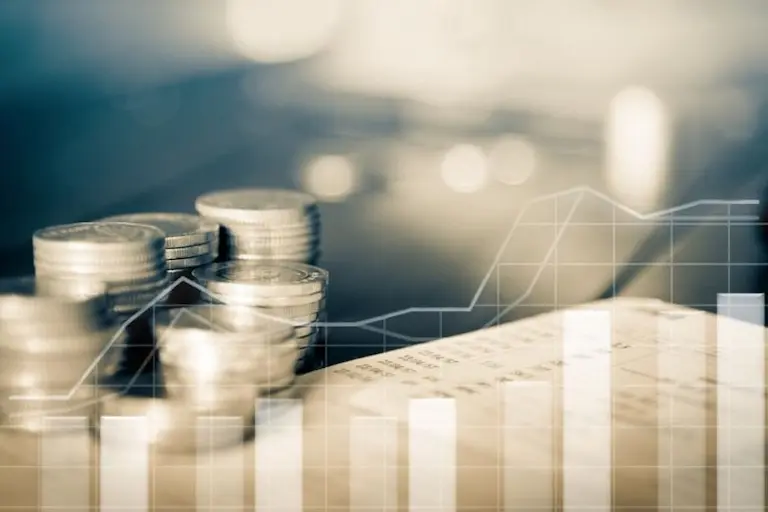 Users of the Line of Credit