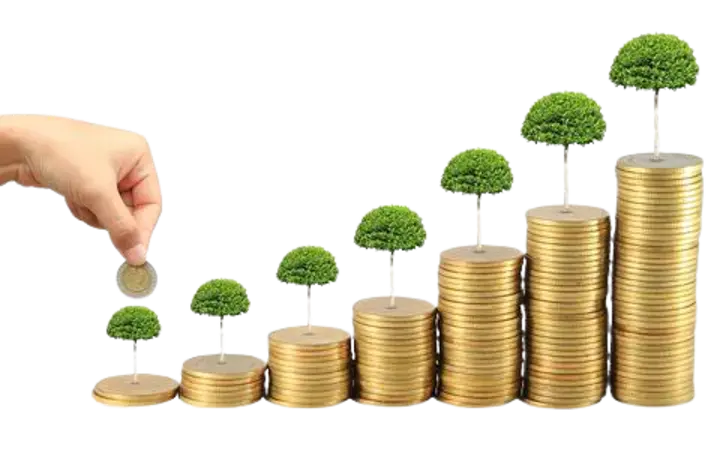 Investment in Emerging Markets