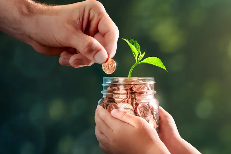 Choosing the Right Option For The Schemes