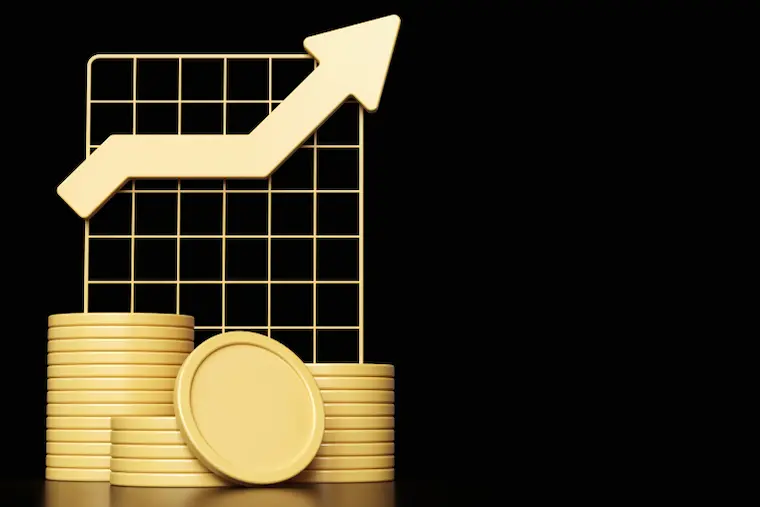 Right Option Choosing