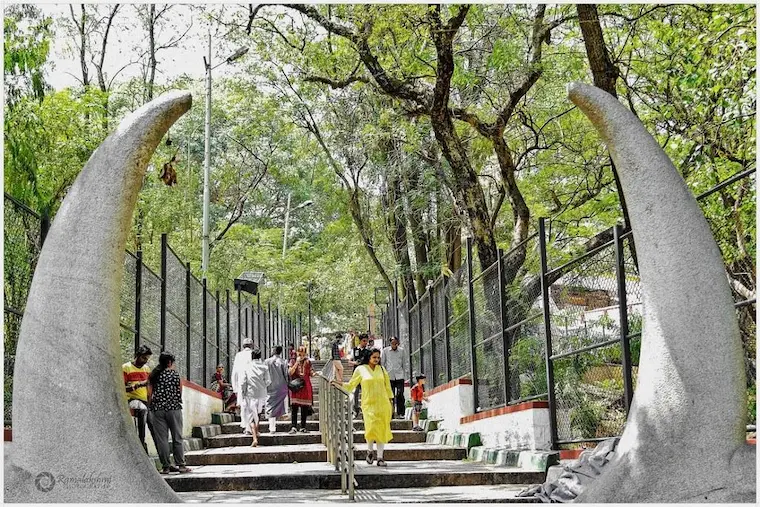 instant loan in basavanagudi